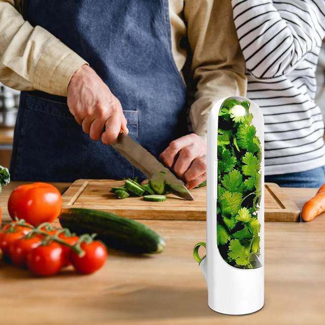 Recipiente Conservador de Hiervas y Espe